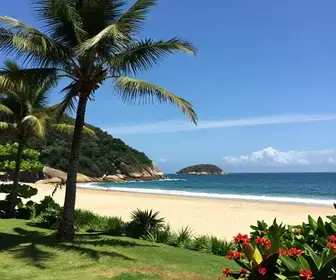 Descubra a Praia do Canto em Búzios: Um Paraíso Tropical