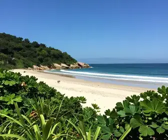 Descubra as Praias Desertas de Búzios e Seus Encantos