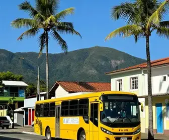 Guia Completo sobre Ônibus em Búzios