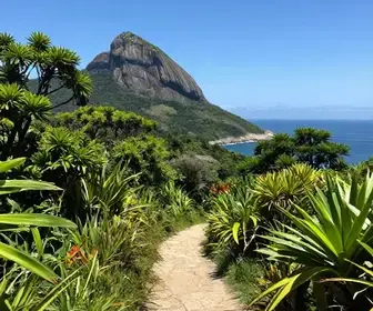 Melhores trilhas em Armação dos Búzios: 5 opções imperdíveis