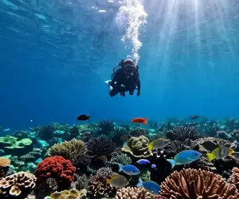 Mergulho nas Praias de Búzios: Um Paraíso Subaquático